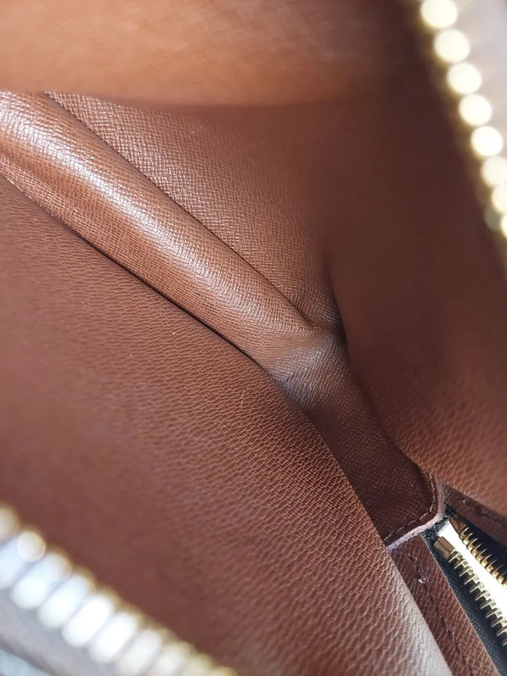 Louis Vuitton Amazon PM Monogram Canvas Crossbody Bag
